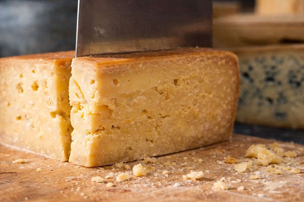 Formaggi di malga